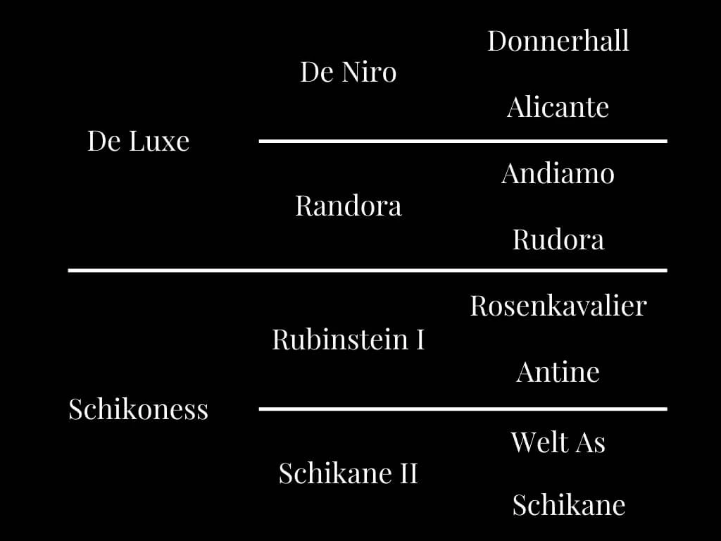 Pedigree of a horse