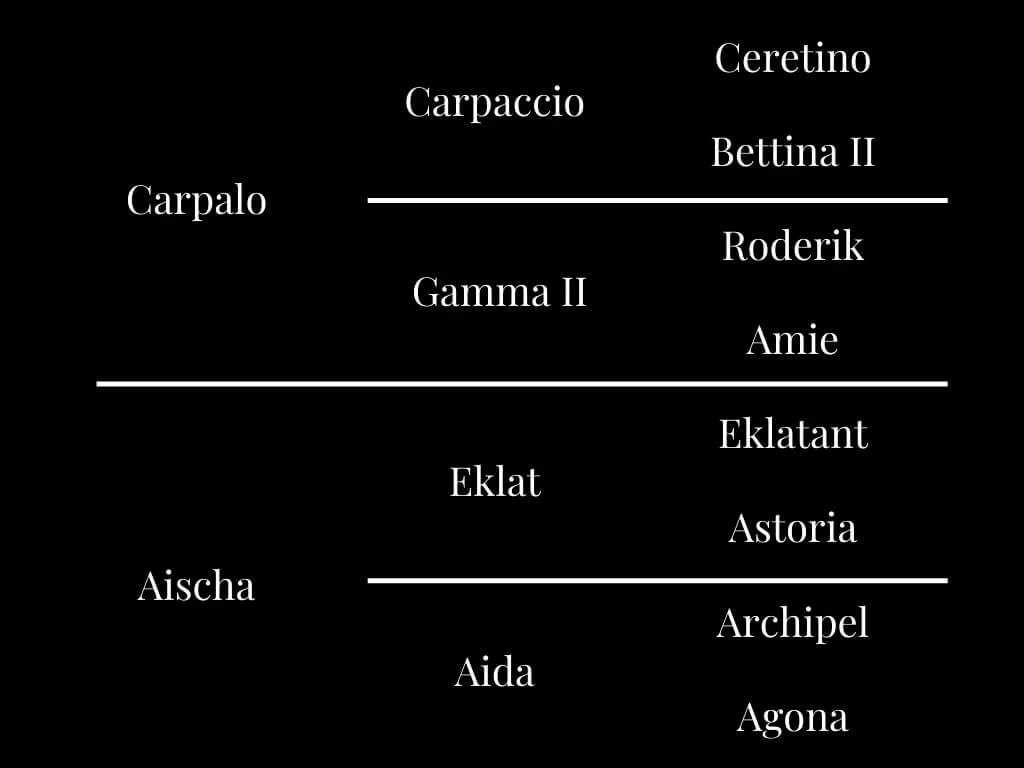 Pedigree of a horse