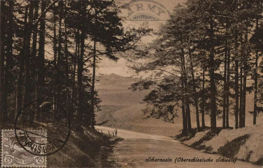 Old Postcard from a village