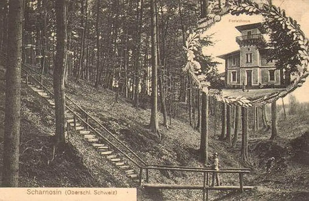 Old postcard from an old forester's house