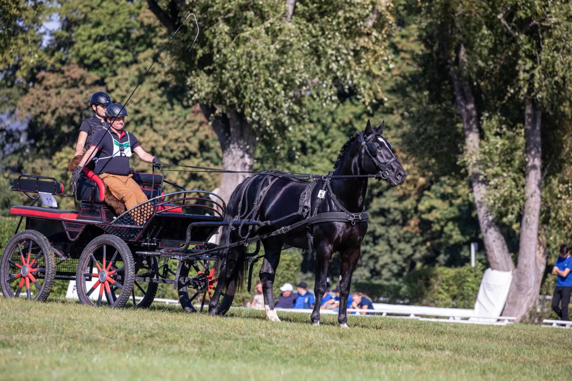 a horse drawn carriage with people in it